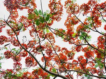 《酒馆好时光》Steam抢先体验 中世纪酒馆经营